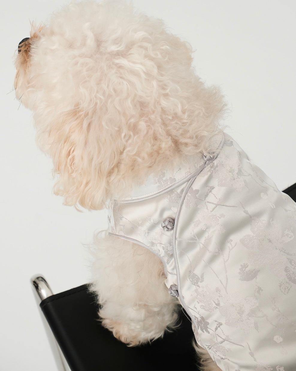 Pawfect Shirt