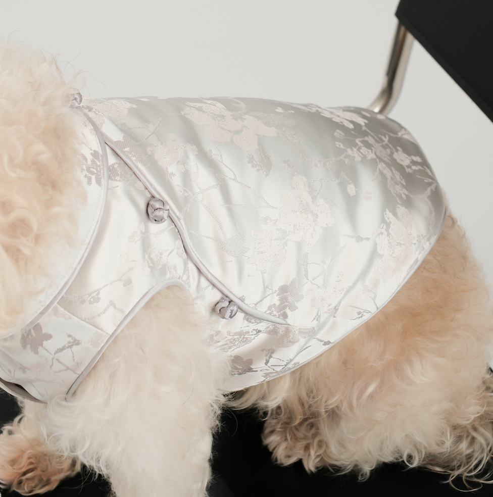 Pawfect Shirt