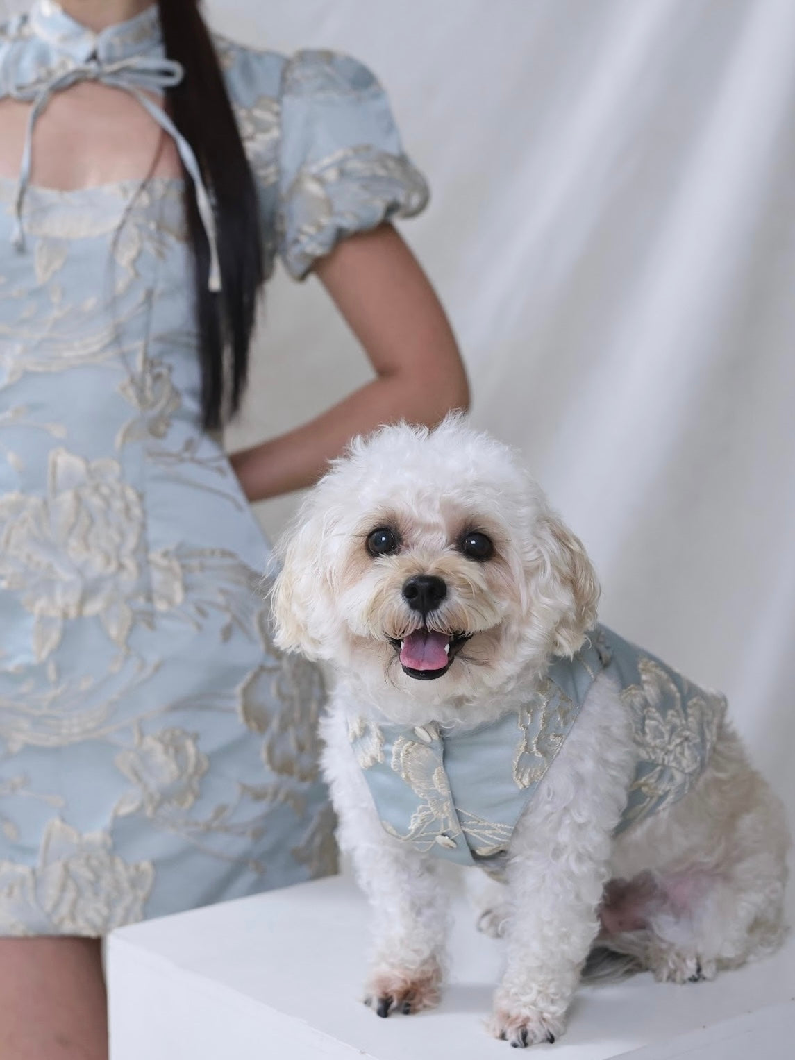 Pawfect Shirt in Twilight Blue