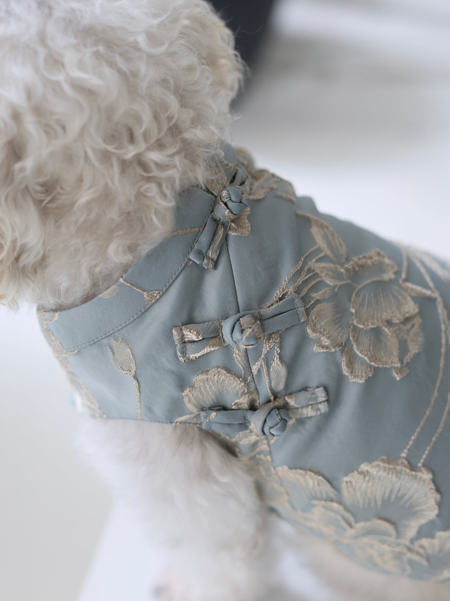 Pawfect Shirt in Twilight Blue