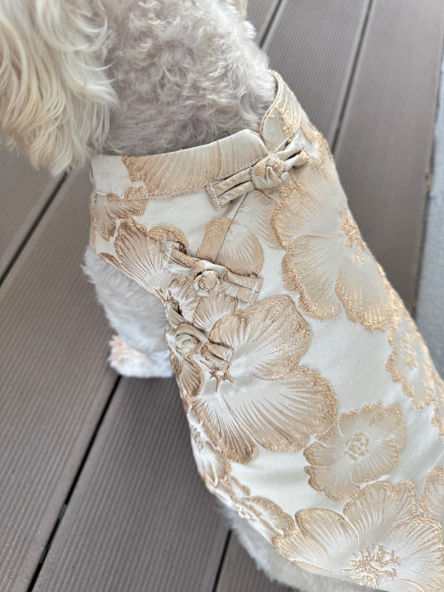 Pawfect Shirt in Champagne Bloom
